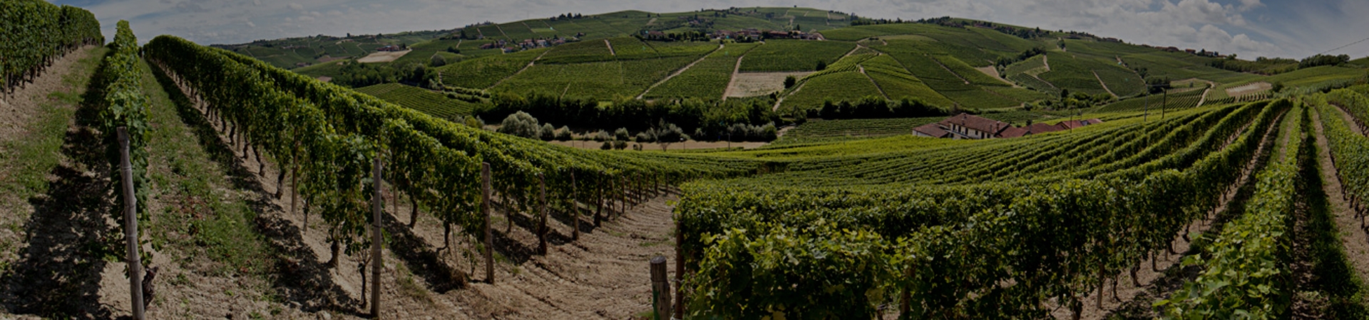 Albino Rocca, Piemonte