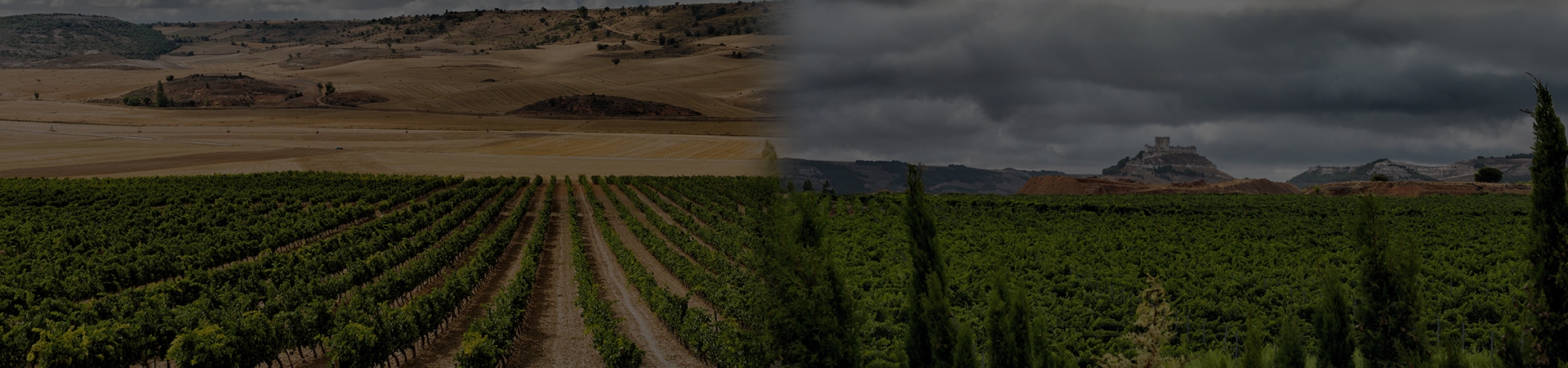 Alma Serena, Bodegas Penafiel, Ribera Del Duero