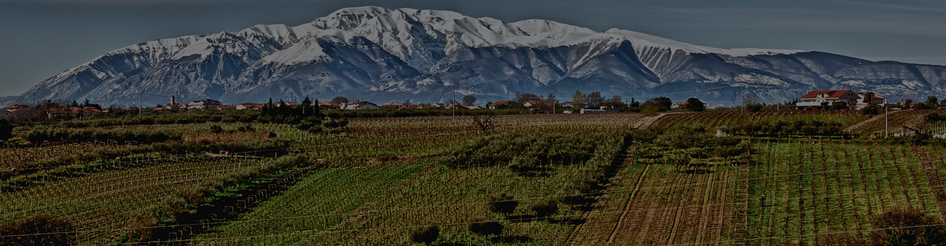 Tenuta Ulisse, Abruzzo