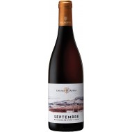 Septembre2020BourgognePinotNoirEdouardDelaunay-20