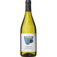 Vermentino2017ToscanaLaSelvaMaremma-20