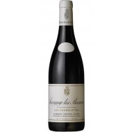 SavignylesBeaune2011LesGoudelettesDomaineAntoninGuyon-20