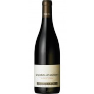 ChambolleMusignyClosdeLOrme2015DomainePhillippeCheron-20 ChambolleMusignyClosdeLOrme2015DomainePhillippeCheron-20
