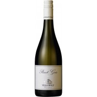 VillaWolf2021PinotGrisWeingutJLWolfPfalz-20
