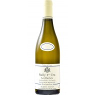 RullyBlanc1erCru2020LesRaclotsDomaineAlbertSounit-20