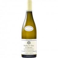RullyBlanc1erCru2018LesRaclotsDomaineAlbertSounit-20