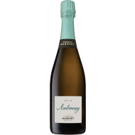 ChampagneMarguet2015AmbonnayGrandCruBrutNatureBIO-20