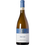 Devon2022GrecodiTufoDOCGCantineAntonioCaggiano-20