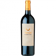 AUSASInterpretacin2017RiberaDelDuero-21