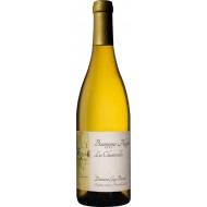 BourgogneAligot2023LesChanterellesDomaineGuyBocard-20 BourgogneAligot2023LesChanterellesDomaineGuyBocard-20