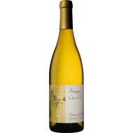 BourgogneBlanc2023CtedOrDomaineGuyBocard-20
