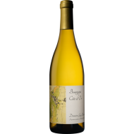 MAGNUMBourgogneBlanc2023CtedOrDomaineGuyBocardKO150cl-20