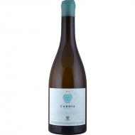 CARDIAGodello2022AdegaDammRibeiraSacra-20