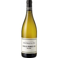 Chablis1Cru2022VaillonsDomaineJeanCollet-20