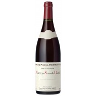 MoreySaintDenis2021DomaineAmiot-20