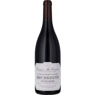 BourgogneRougeCoteDOr2022CuveeEtienneDomaineMoCamuzet-20