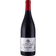 Fleurie2021DomaineDesChaffangeons-20
