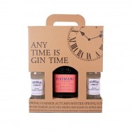 AnyTimeisGinTimeHAYMANSSLOEGIN4XLEMONTONIC-20