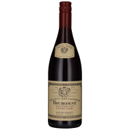 LouisJadot2023BourgogneRougeCouventdesJacobins-20