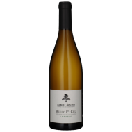 LaPucelle1erCru2023RullyBLANCDomaineAlbertSounit-20 LaPucelle1erCru2023RullyBLANCDomaineAlbertSounit-20