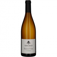 LaPucelle1erCru2022RullyBlancAlbertSounit-20