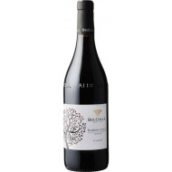 BarberadAlba2018LEMASCHEBelColle-20