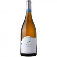 MontagnyBlancCamille2023DomaineFeuillatJuillot-20 MontagnyBlancCamille2023DomaineFeuillatJuillot-20