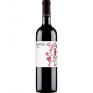 MontevetranoRosso2022AziendaAgricolaMontevetrano-21