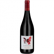 BeaujolaisNouveau2024EphmreJeanMarcLafont-20