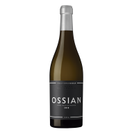 Ossian2019VerdejoOssianVidesyVinos-20