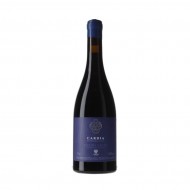 CARDIAPombeirasBaja2022AdegaDammRibeiraSacra-20