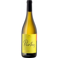 PUNTAY2020ChardonnayErsteplusNeueAltoAdige-20