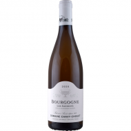 BourgogneBlanc2020LesSaussotsDomaineChavyChouet-20