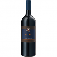 Siepi2021ToscanaIGTCastellodiFonterutoliMazzei-20