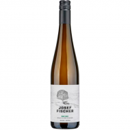 GrnerVeltlinerSteinfeder2023WeingutJosefFischer-20