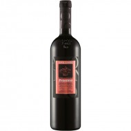 Terragnolo2021PrimitivoDelSalentoIGTApollonioPuglia-20