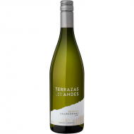 TerrazasdelosAndes2022ChardonnayMendoza-20