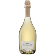 MichelArnould2017TerreDeBlancsBrutChampagne-20
