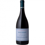 MarsannayLesVaudenelles2022DomaineBrunoClair-20